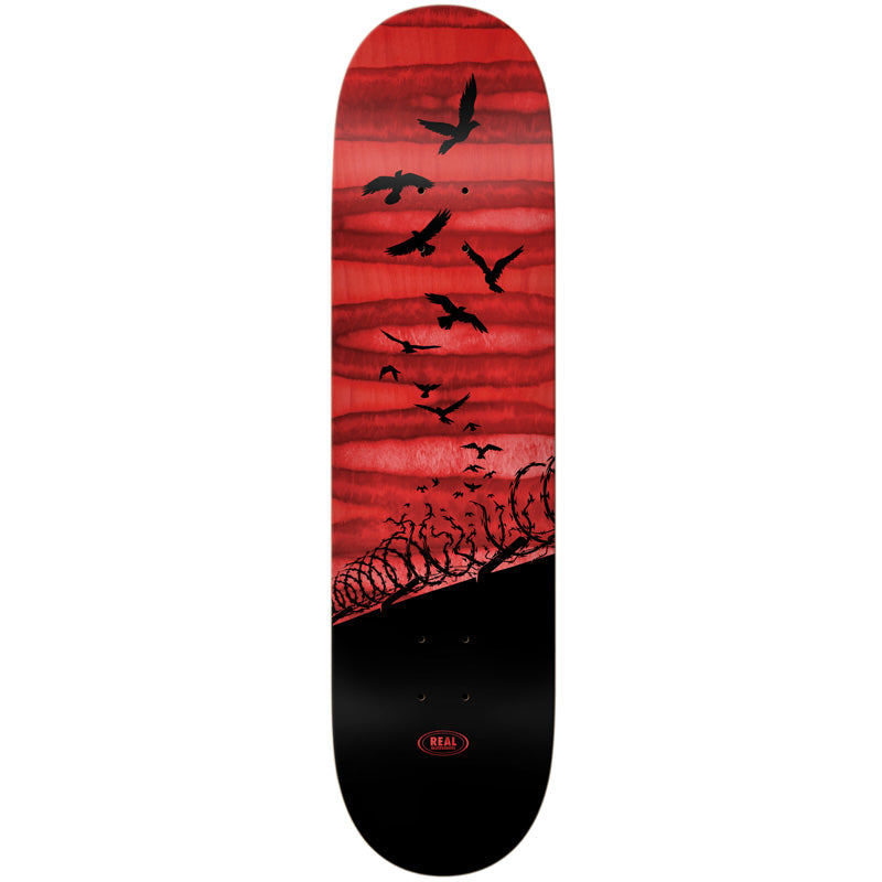 Deck Real Free Spectrum 8"06